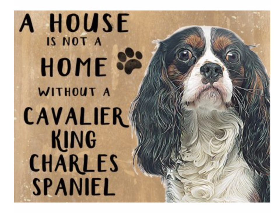 Tazza In Ceramica 325 Ml Con Cavalier King Charles Spaniel - "A House Is Not A Home Without..." - Regalo Per Proprietari Di Cani
