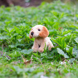 Plush dog toy in a grassy field