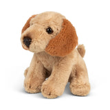 Plush toy dog with brown ears and face on a white background