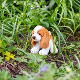 Plush toy dog in a natural setting with green grass and plants.