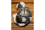Adorable Cavalier Dog Dish Stand - with removable feeding / water bowl