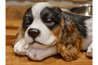 Adorable Cavalier Dog Dish Stand - with removable feeding / water bowl