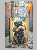 Peaky Paws Cavapoo Club fridge magnet  in packaging 