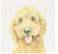 Golden Cream cockapoo painting on a square coaster for cups and mugs