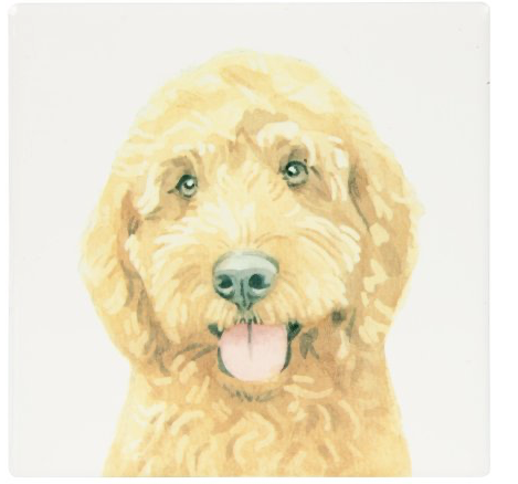 Golden Cream cockapoo painting on a square coaster for cups and mugs
