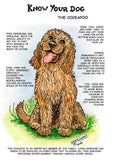 cockapoo greeting card know your dog