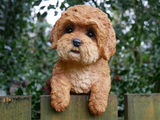 Fence Hanging Cockapoo Dog Sculpture Figurine Decoration