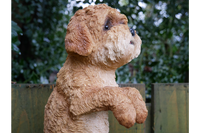 Fence Hanging Cockapoo Dog Sculpture Figurine Decoration