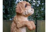 Fence Hanging Cockapoo Dog Sculpture Figurine Decoration