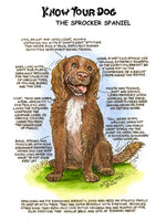 Know Your Dog - The Sprocker Spaniel - Greeting Card