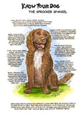Know Your Dog - The Sprocker Spaniel - Greeting Card