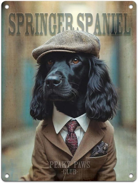 Black dog in a suit with a cap and 'Springer Spaniel' text on a metal sign.