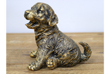 Bronze effect puppy