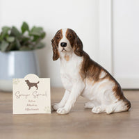 Springer Spaniel Ornament