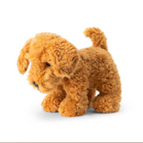 Cuddly Toy Cockapoo Dog