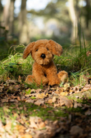 Animigos cockapoo toy