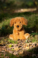 Animigos plush cockapoo toy