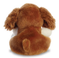 Lady Spaniel Dog
