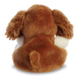 Lady Spaniel Dog