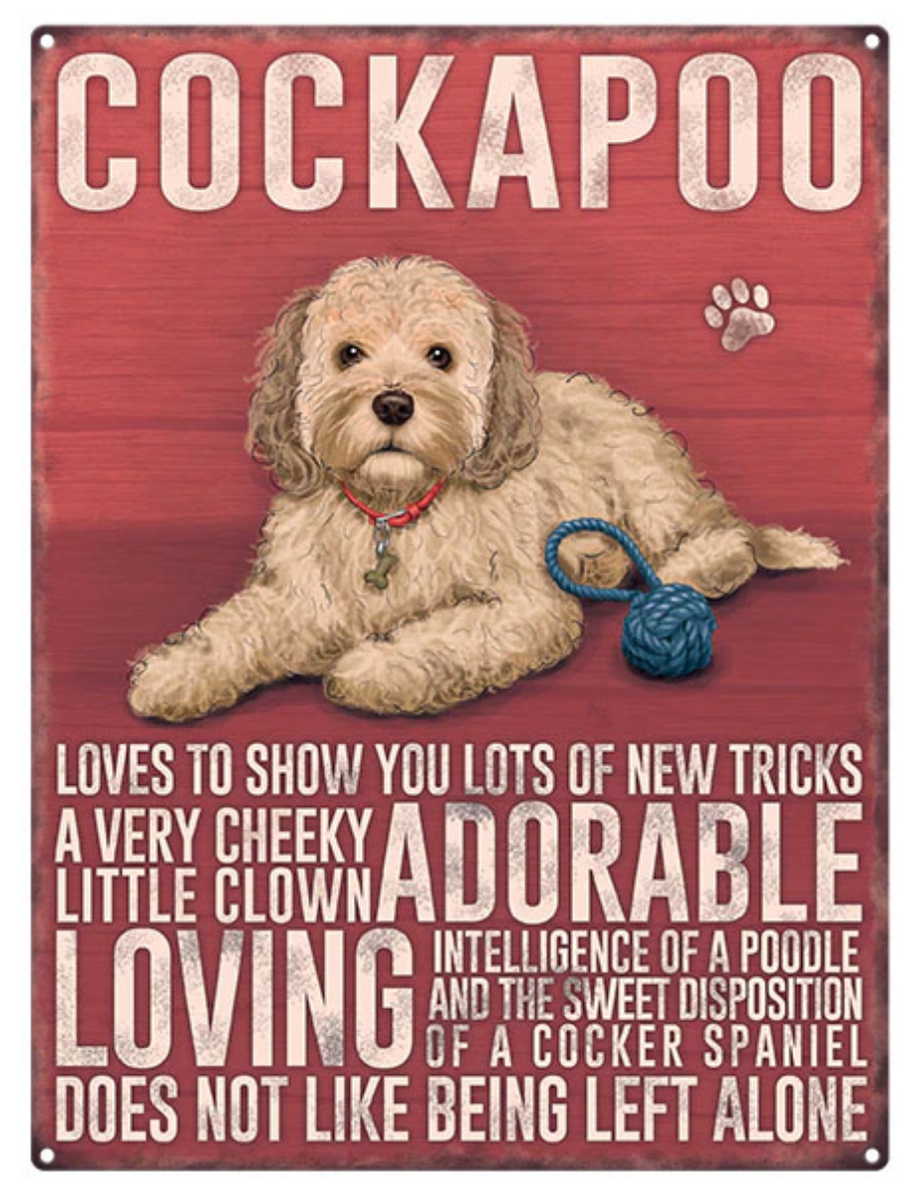 Cockapoo Sign - Adorable Cockapoo Small Metal Wall Sign – WockerCocker