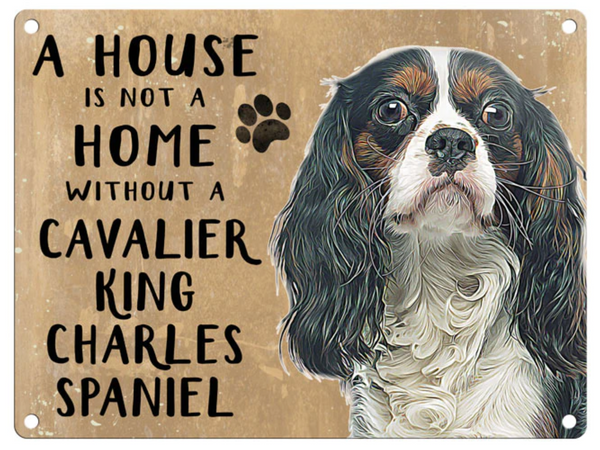 Cavalier King Charles Spaniel Small Metal Wall Sign  House is not a Home