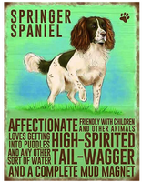 Affectionate Springer Spaniel metal wall sign