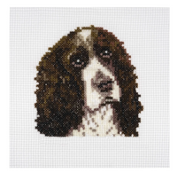 Brown and white Stitch your own springer spaniel 
