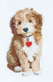 cockapoo cross stitch kit