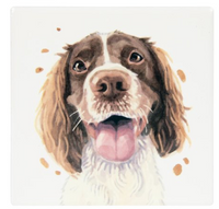 Brown and white Springer Spaniel picture on a mug Coaster