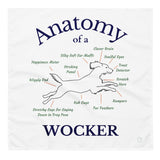 Anatomy of a Wocker Bandana