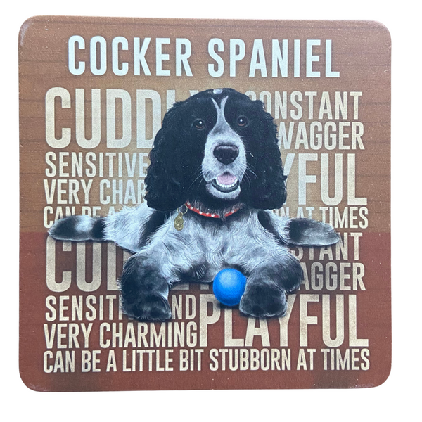 black and white cuddly cocker spaniel coaster