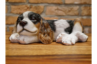 Adorable Cavalier Dog Dish Stand - with removable feeding / water bowl
