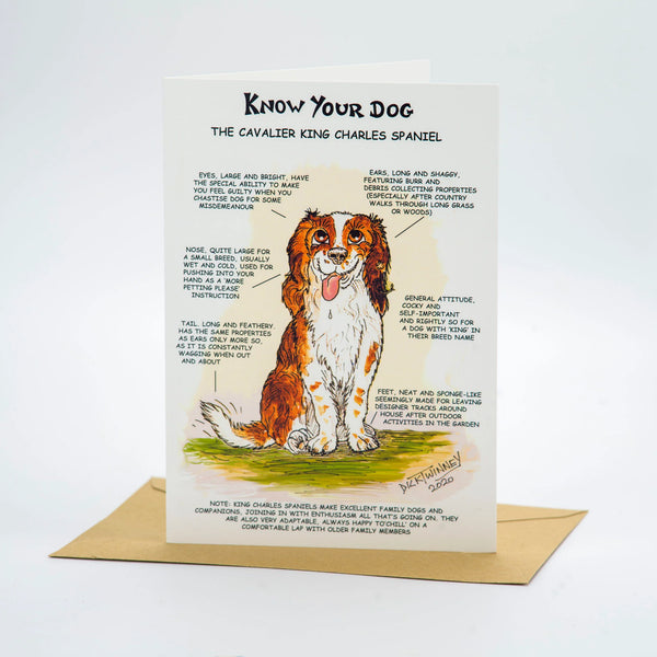Cavalier King Charles Spaniel Card