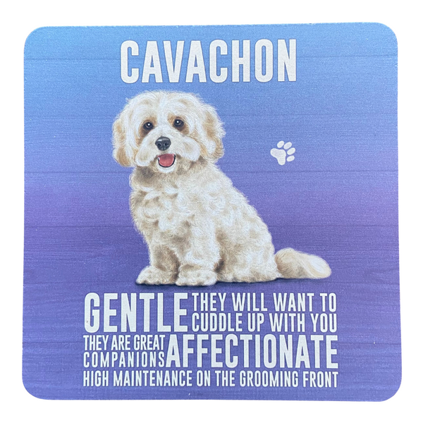Cavachon Melamine Coaster