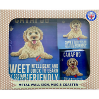 cavapoo gift set blue background with cream cavapoo