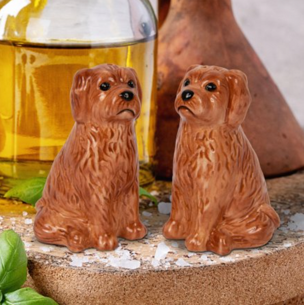 Brown Cockapoo salt and pepper set