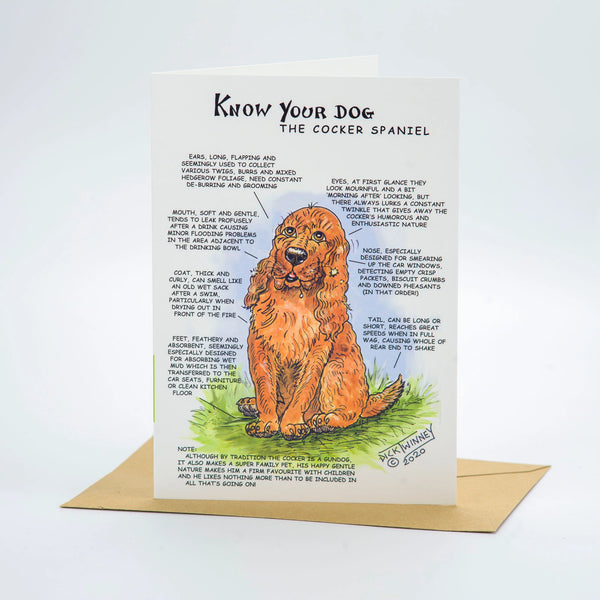 cocker spaniel card
