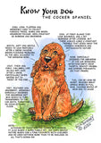 cocker spaniel card know your dog 