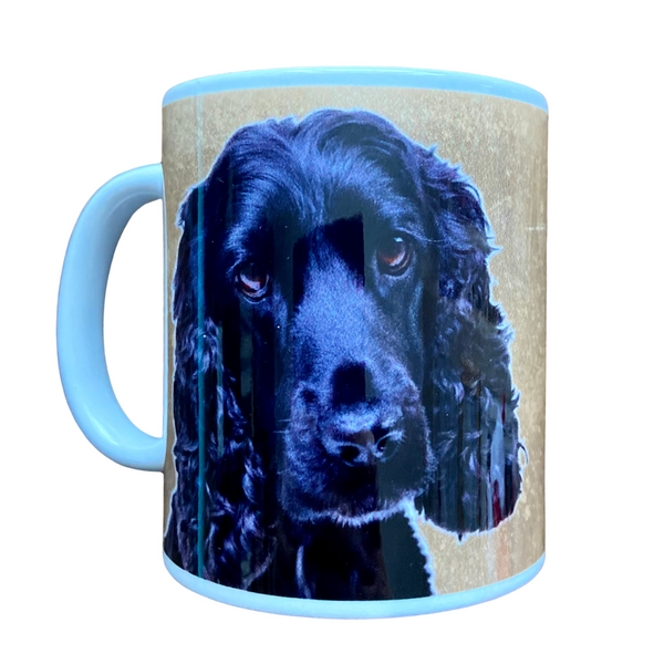 House is not a Home Black Cocker Spaniel Mug