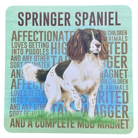 Affectionate Springer Spaniel Melamine Coaster