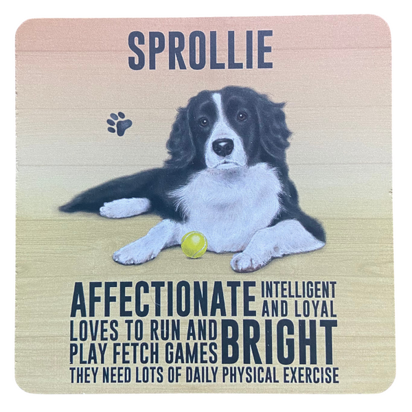 Sprollie Melamine Coaster