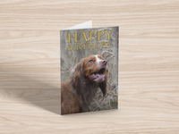 Cocker Spaniel 
