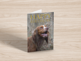 Cocker Spaniel 