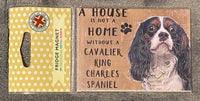 Cavalier Spaniel