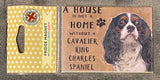 Cavalier Spaniel