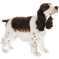 Cocker Spaniel
