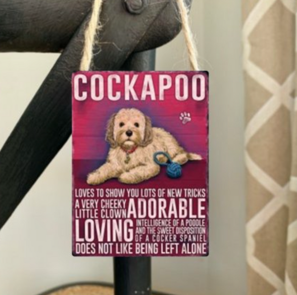 Cockapoo