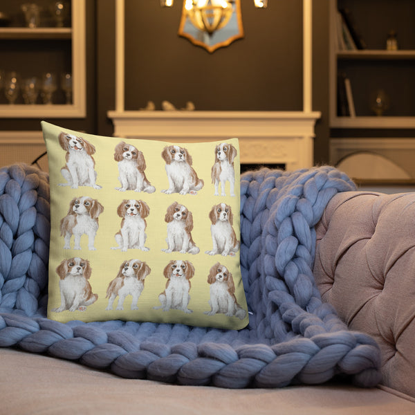 Cavalier King Charles Spaniel