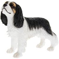 Cavalier King Charles