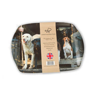 Spaniel